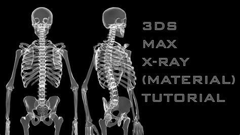 3d porn x ray|3D X Ray Porn Videos .